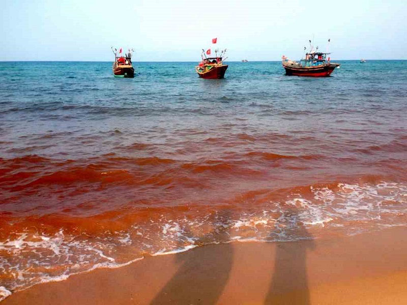 Vai trò thuỷ triều