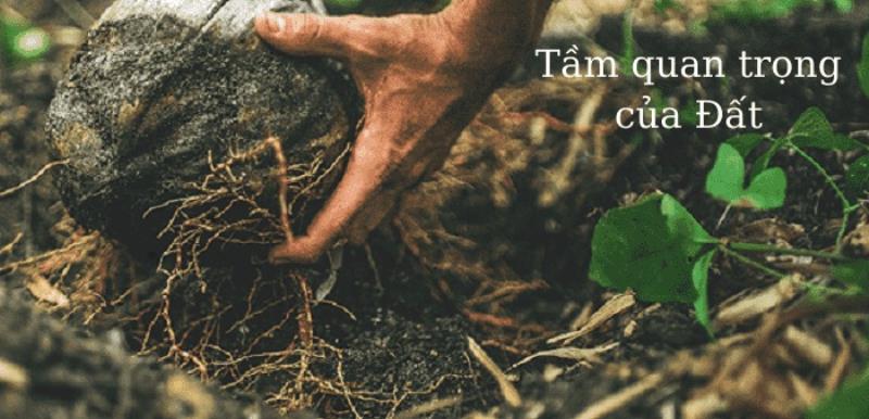 Nêu vai trò và nhiệm vụ cơ bản của đất trồng