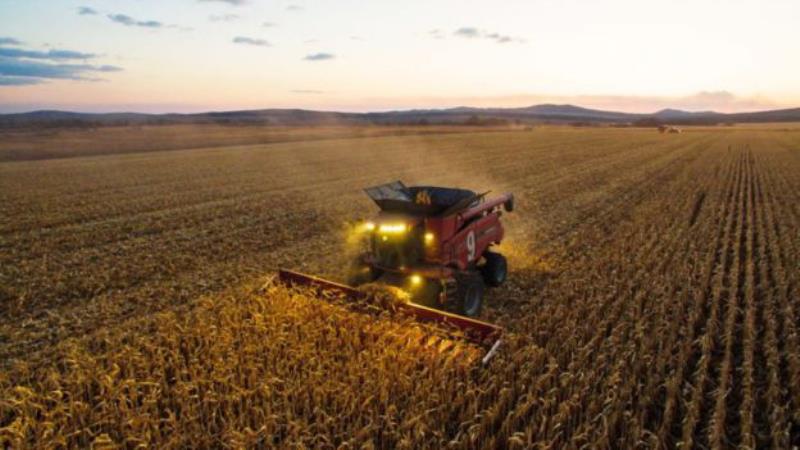 Vì sao phải thâm canh trong nông nghiệp