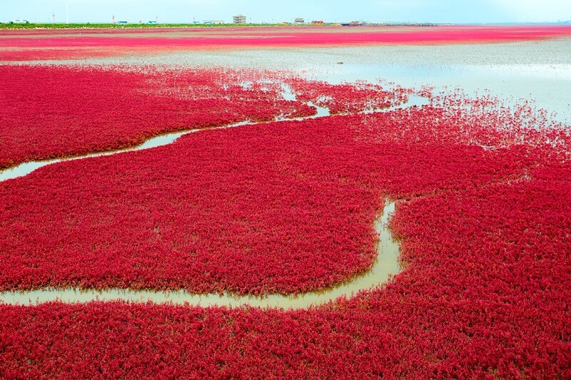 Biển Đỏ thông với kênh đào Suez