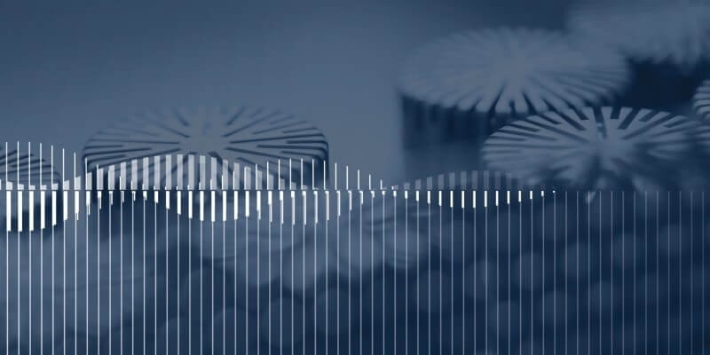 Điều gì giúp vibe trở nên phổ biến