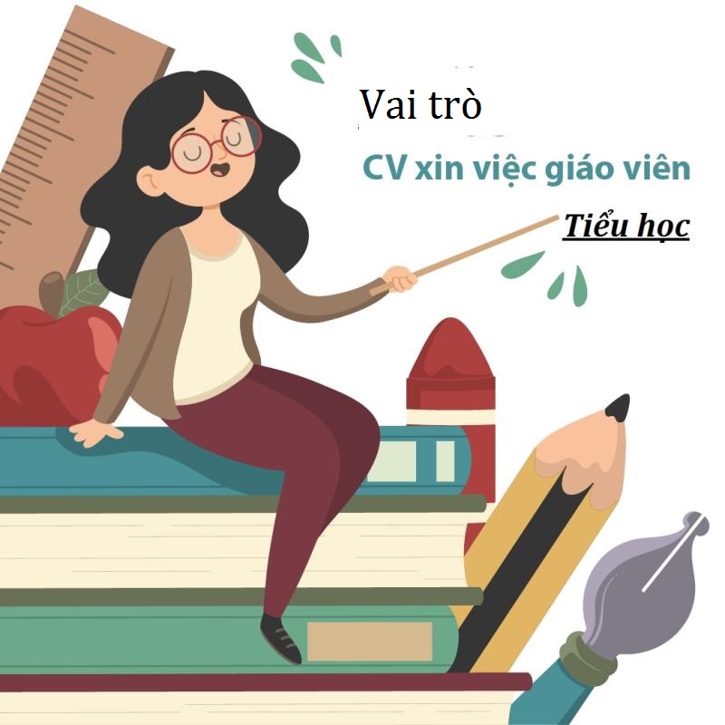 Vai trò của CV xin vào làm giáo viên tiểu học