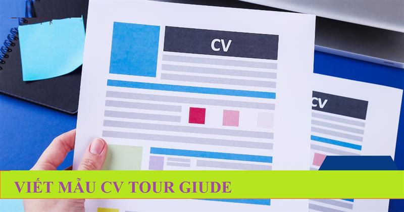 Trình bày Trình độ học vấn