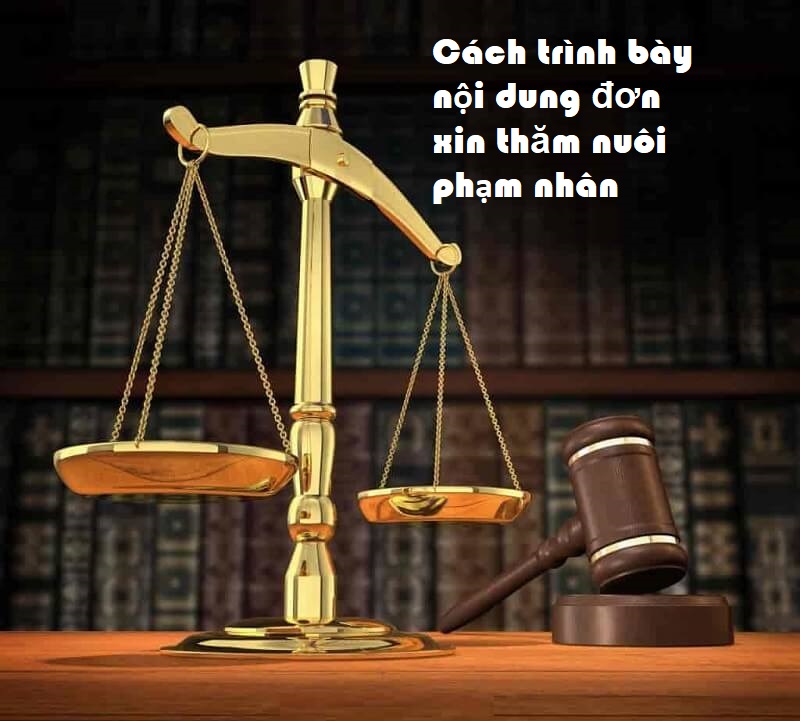 Trình bày thông tin của người viết đơn trong dơn xin thăm phạm nhân