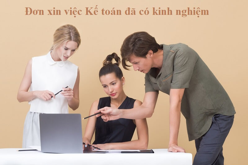 Đơn xin việc Kế toán đã có kinh nghiệm chi tiết