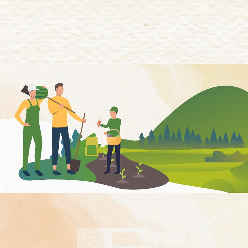 Vai trò quan trọng của đơn xin xóa nợ số tiền đang nợ khi sử dụng đất