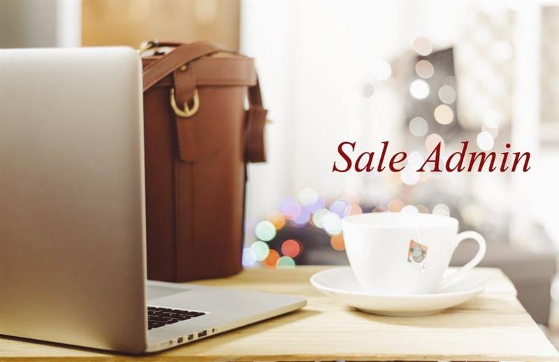 Các mẫu tiêu điểm nghề nghiệp Sale Admin