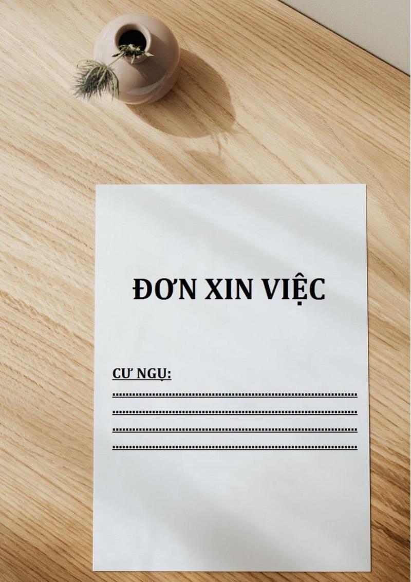 Phần cư ngụ ở bên trong đơn xin việc là gì?