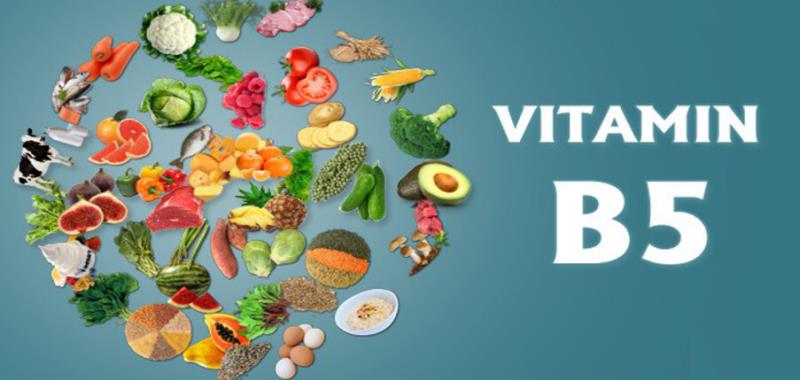 Vitamin B5 nuôi dưỡng hồng cầu khỏe mạnh và giúp sản sinh hormone