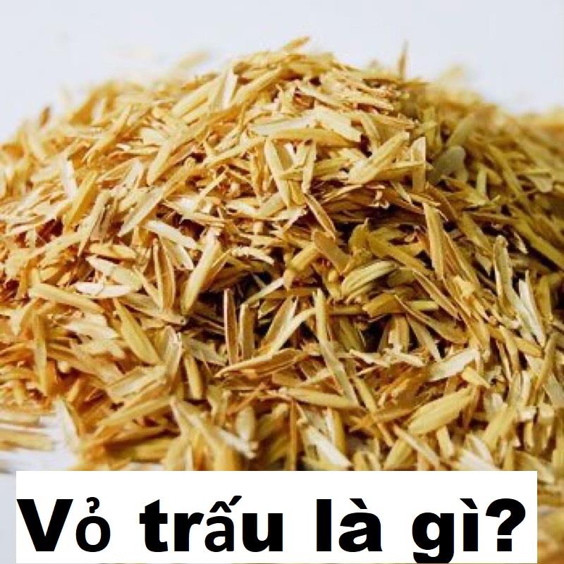 Tìm hiểu vỏ trấu là gì