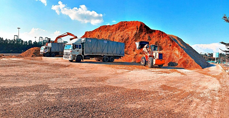 Sản xuất gỗ vụn ngày càng nhiều