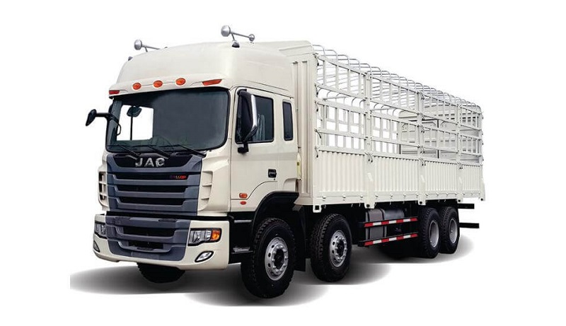 Xe bốn chân là gì? 