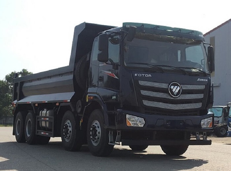 Lưu ý khi chọn mua xe bốn chân 