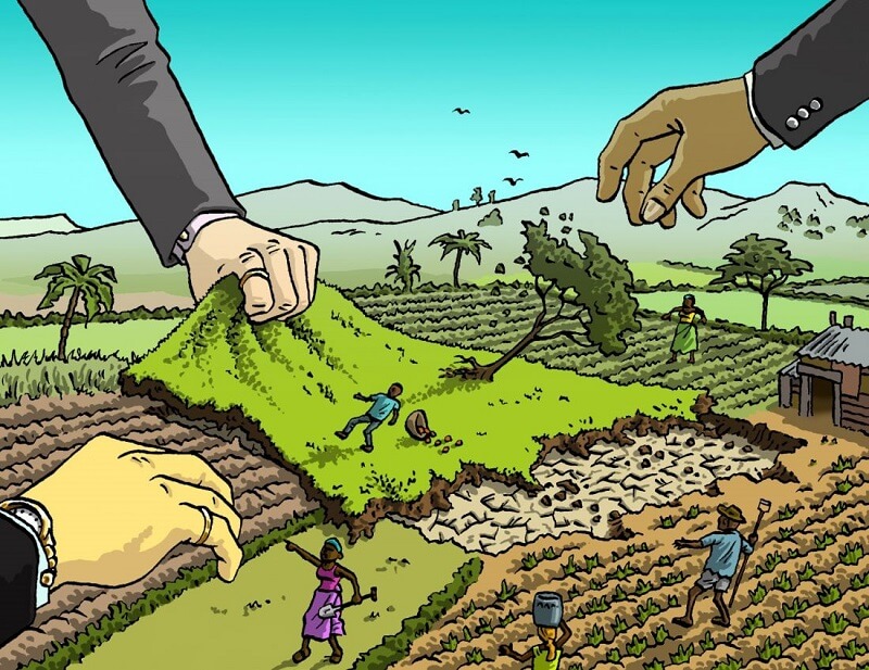 Điền nội dung cho đơn cứu xét đất đai như thế nào?