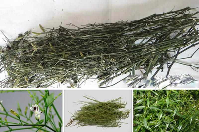 Bạn hiểu gì về Xuyên tâm liên