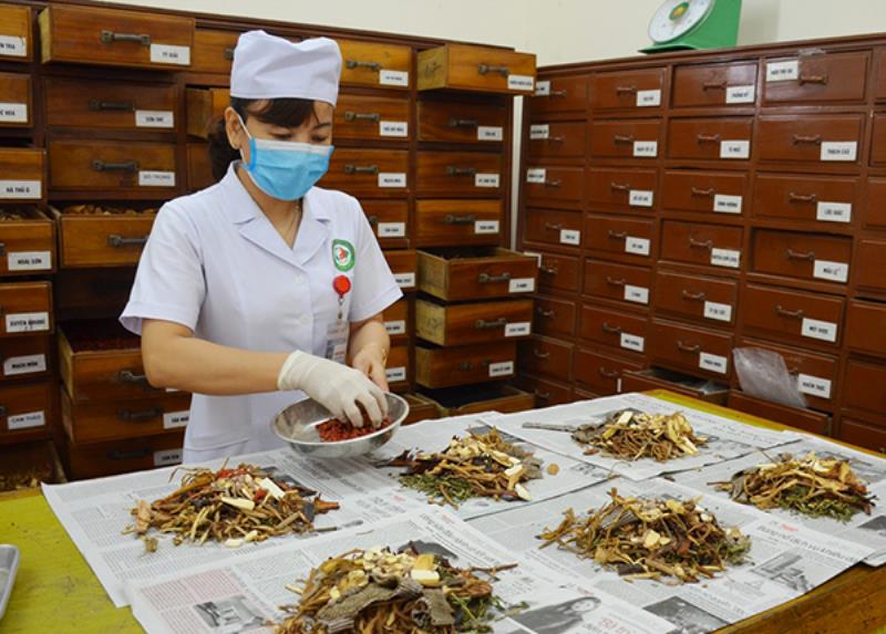 Y học cổ truyền học nhiều môn hơn y đa khoa