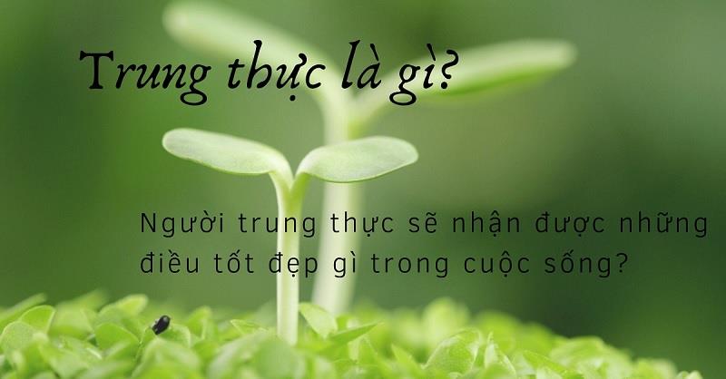 Làm rõ ý nghĩa của trung thực cho những ai chưa biết