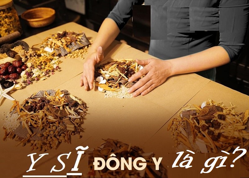 Y sĩ đông y là gì