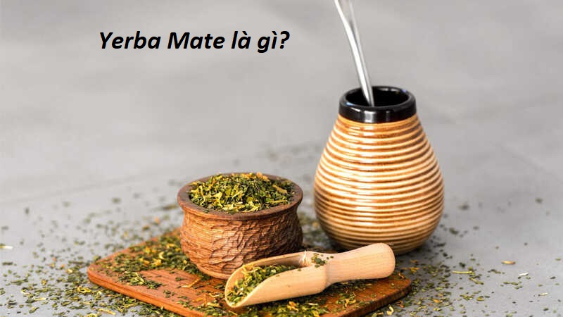 Yerba Mate là gì