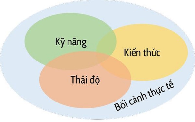 Yếu tố cấu thành năng lực nghề nghiệp