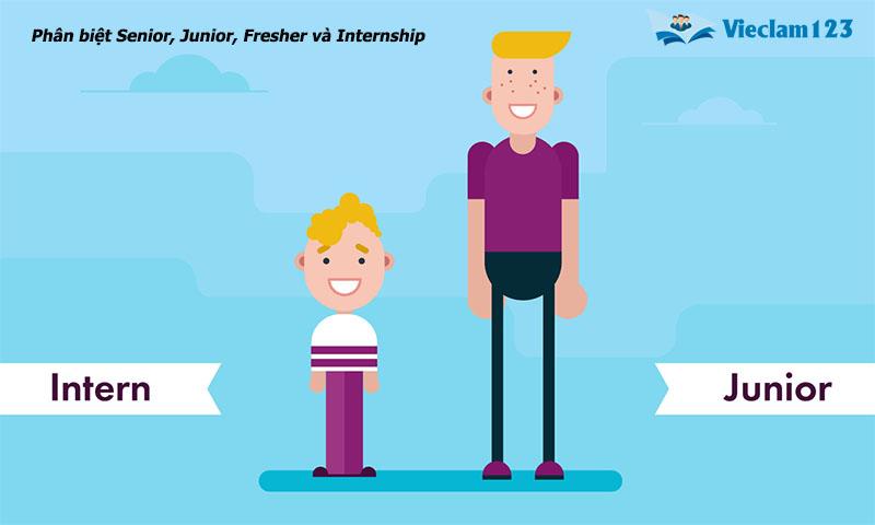 Internship là gì Internship là gì