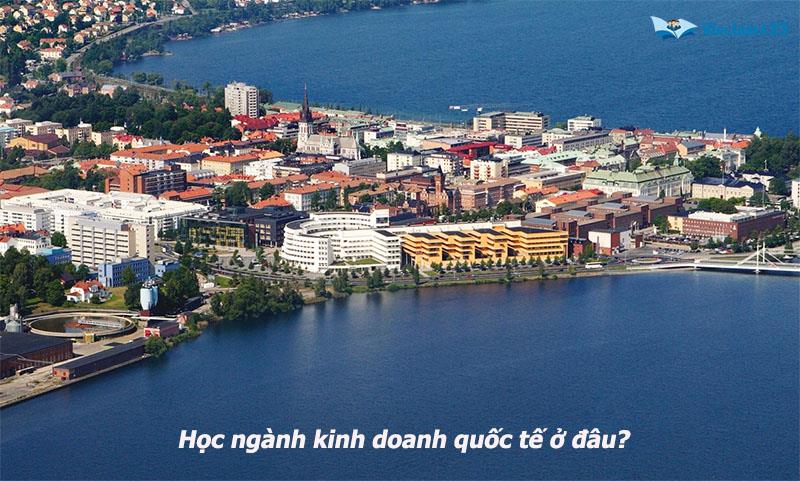 Kinh doanh quốc tế Kinh doanh quốc tế