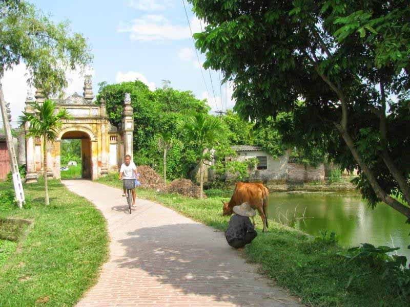 Phân tích nhân vật ông Hai trong tác phẩm Làng