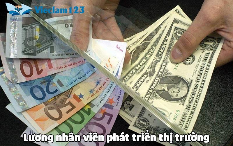 Mức lương của nhân viên phát triển thị trường Mức lương của nhân viên phát triển thị trường