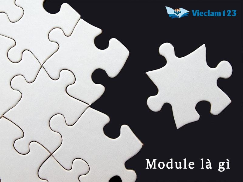 Module là gì
