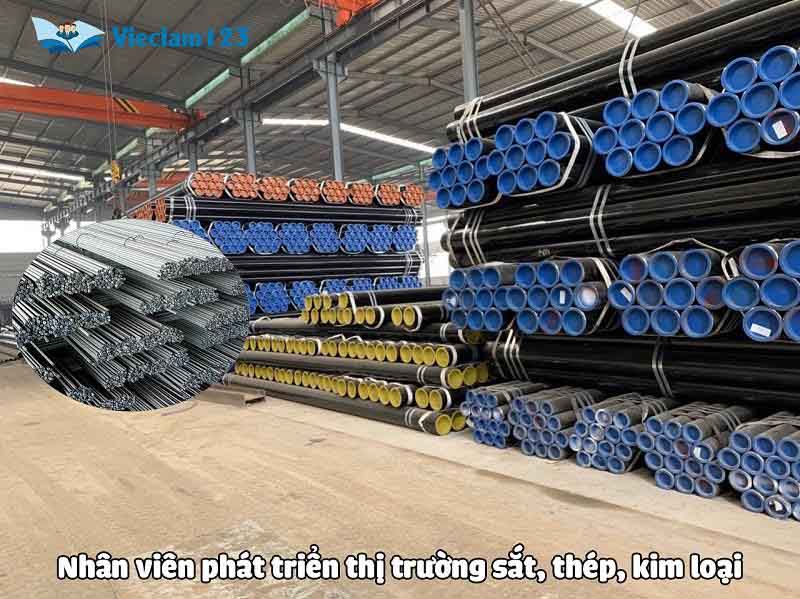 Nhân viên phát triển thị trường sắt, thép, kim loại Nhân viên phát triển thị trường sắt, thép, kim loại