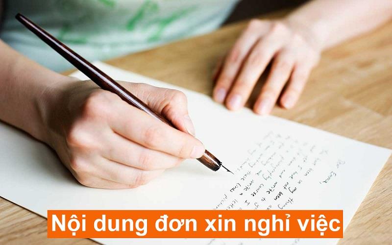 Nội dung của đơn xin việc