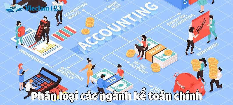 Các ngành nghề kế toán chính hiện nay