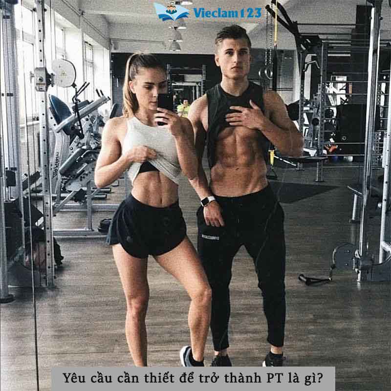 PT là gì PT là gì