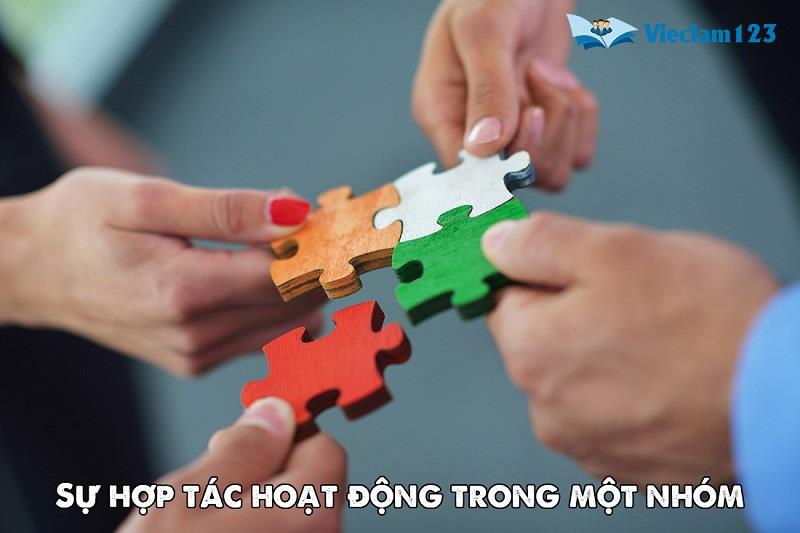 Sự hợp tác hoạt động như thế nào trong một nhóm Sự hợp tác hoạt động như thế nào trong một nhóm