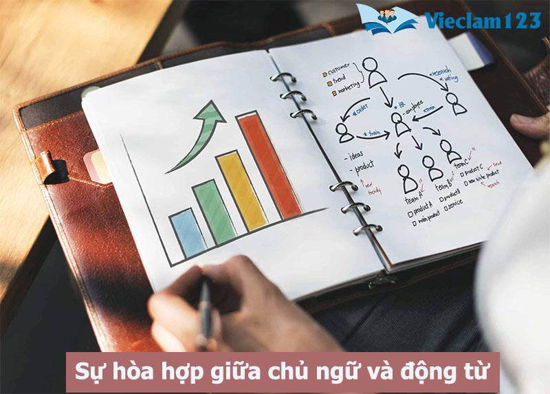 Sự hòa hợp giữa chủ ngữ và động từ Sự hòa hợp giữa chủ ngữ và động từ
