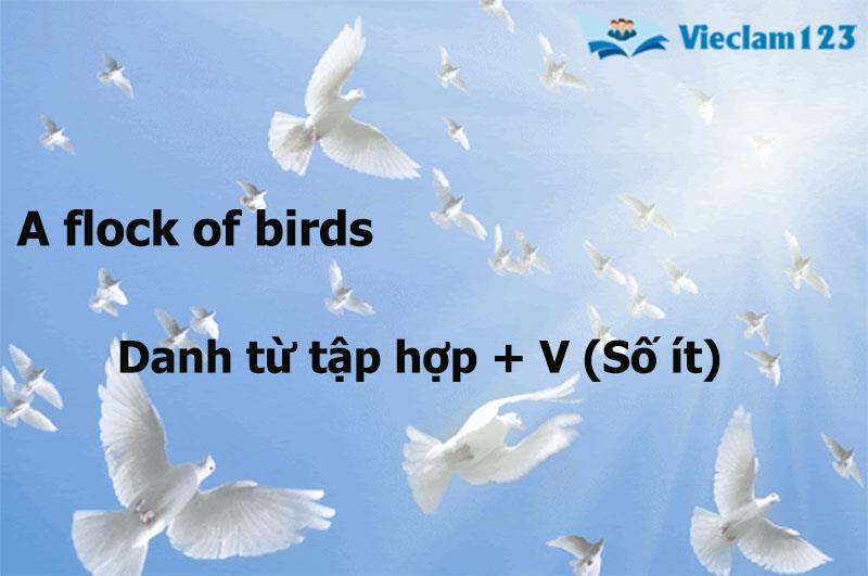 Sự hòa hợp giữa chủ ngữ và động từ Sự hòa hợp giữa chủ ngữ và động từ