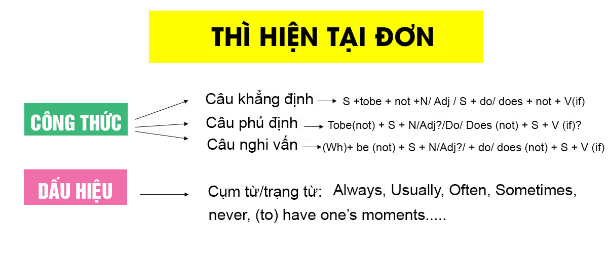 Thì hiện tại đơn