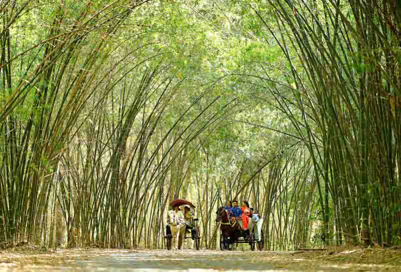 Những tà áo dài truyền thống khắc họa hình ảnh cây tre Việt Nam
