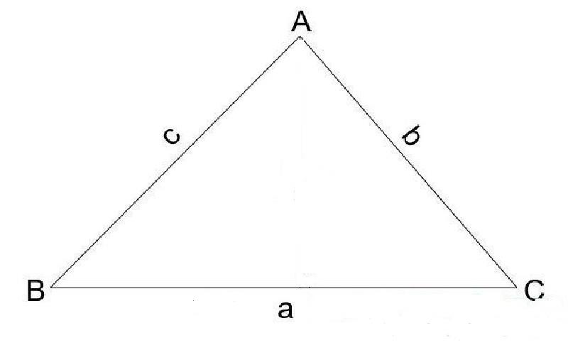 Tính diện tích hình tam giác