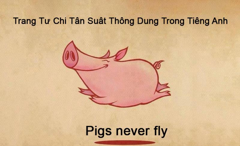 trạng từ chỉ tần suất trong tiếng anh trạng từ chỉ tần suất trong tiếng anh