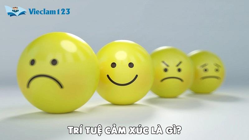 Trí tuệ cảm xúc là gì? Trí tuệ cảm xúc là gì?