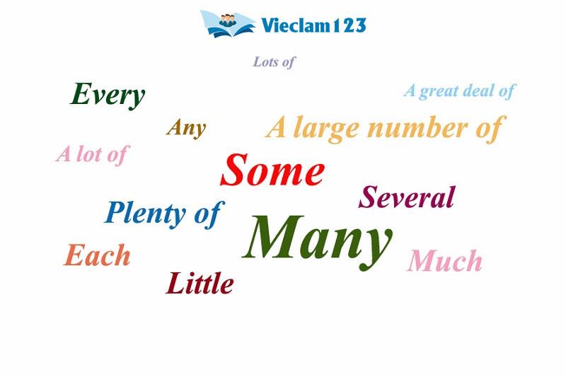 Từ chỉ số lượng trong tiếng Anh