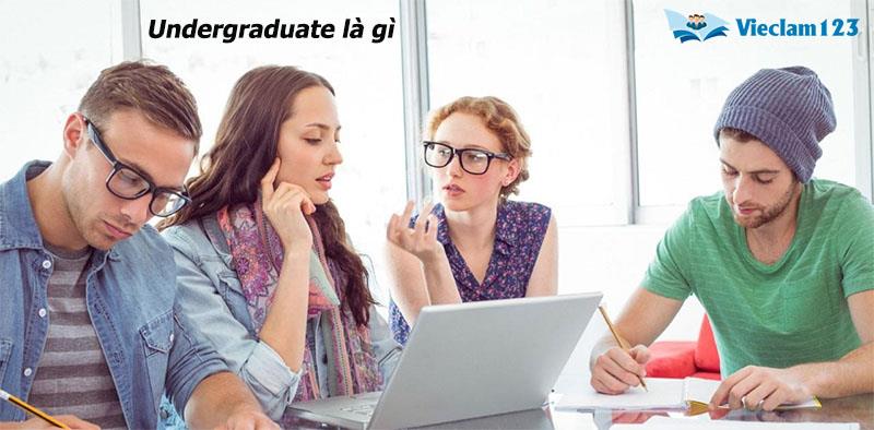 Undergraduate Undergraduate