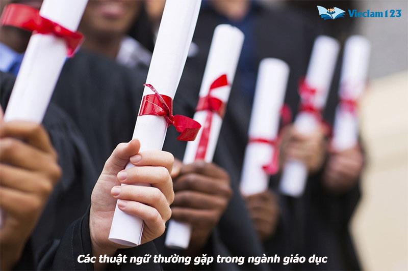 Undergraduate Undergraduate