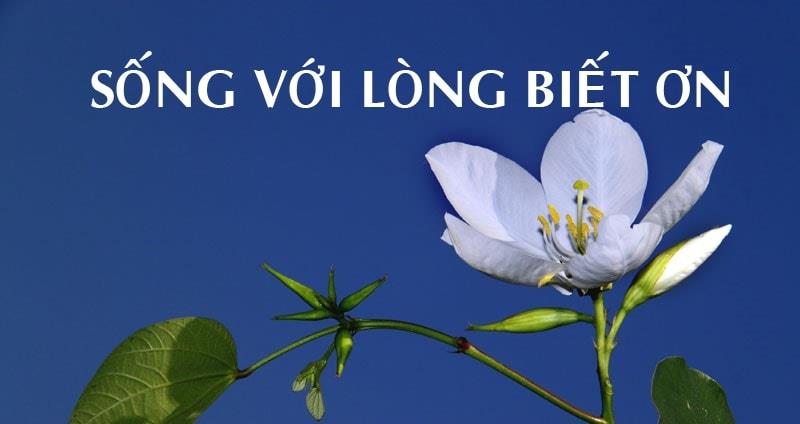 luôn biết nhớ về cội nguồn