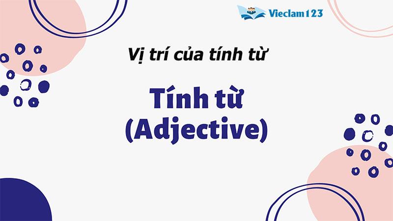 Vị trí của tính từ