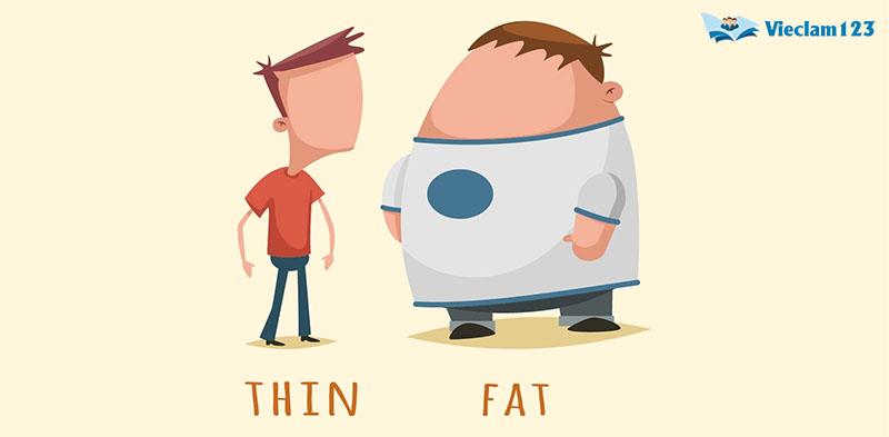 Vị trí của tính từ