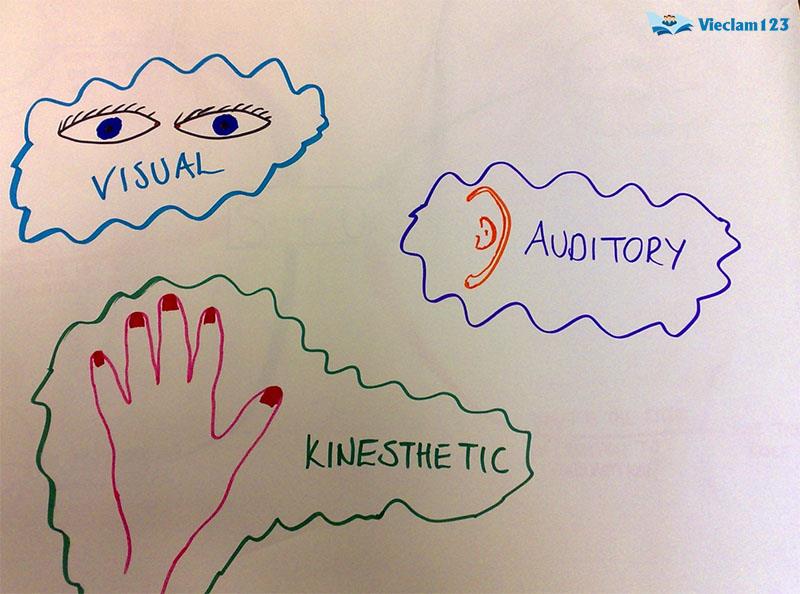 Visual là gì Visual là gì