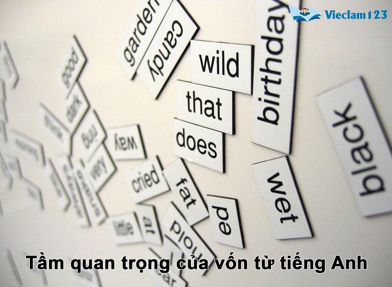 Tầm quan trọng của vốn từ tiếng Anh&nbsp;