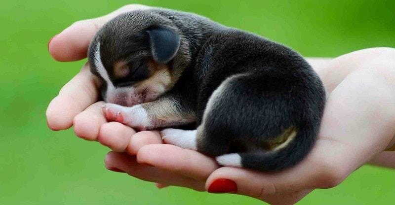 xem những gì mình thích